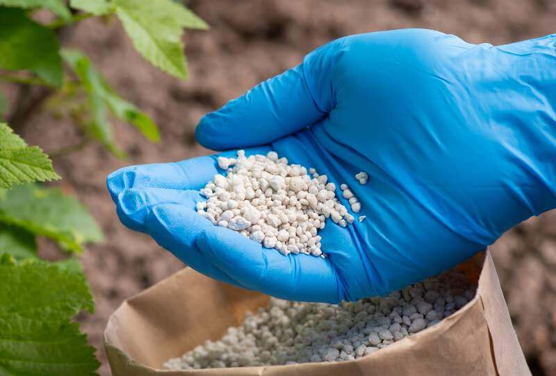 Analisi di fertilizzanti agec lab