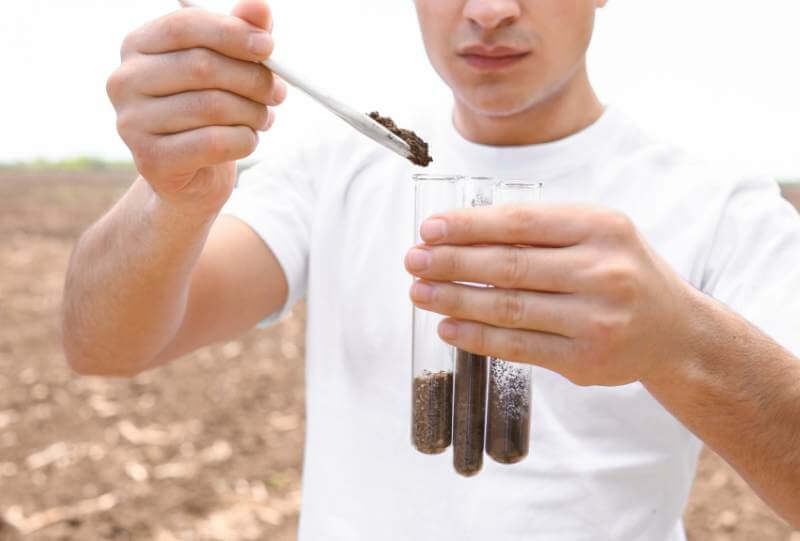 Prove sperimentali fertilizzante