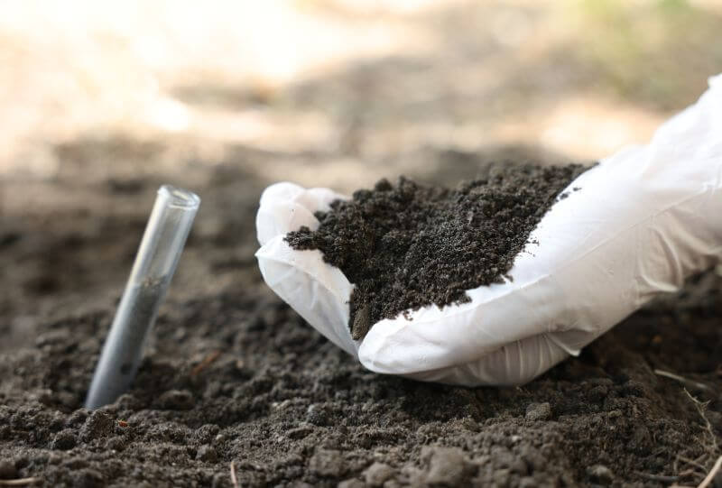 analisi chimico agrarie padova