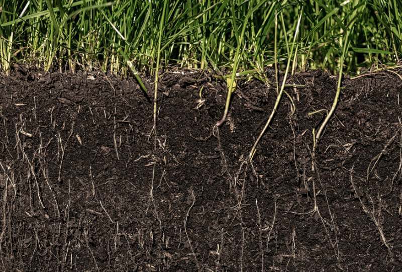 analisi terreno tappeto erboso selvazzano dentro analisi terreno tappeto erboso selvazzano dentro