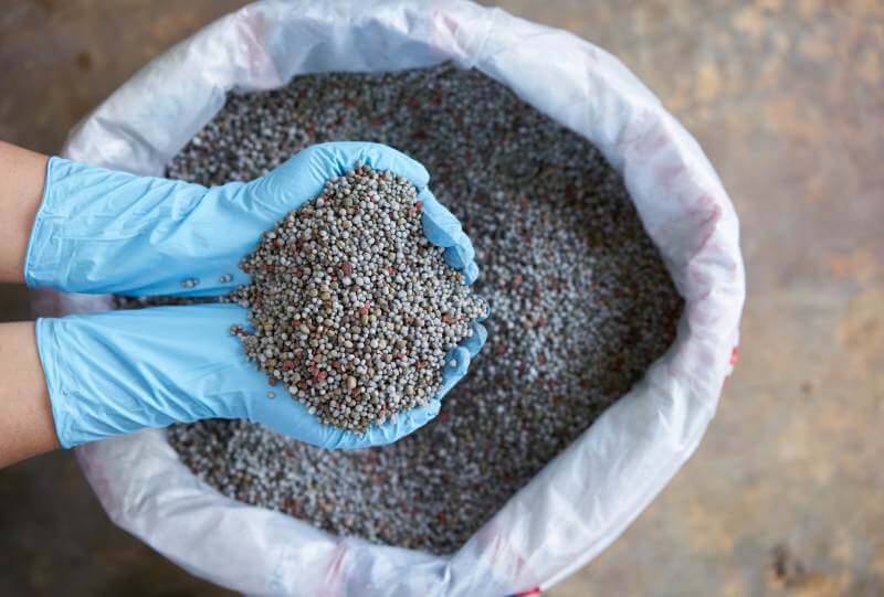 sperimentazione ammendanti e compost